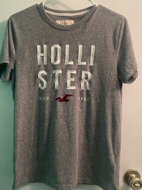 Hollister Gray Heather Tee with Red Seagull Logo